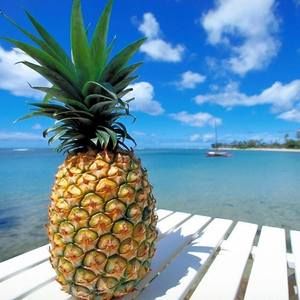 Meet your Posher, Judy